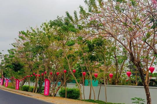 Lovely Room Oceanami Resort Long Hai Exterior photo